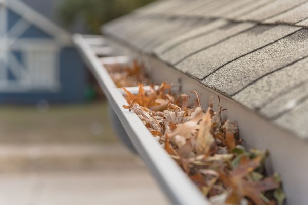 Leaf Barrier Installation in Loveland